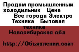 Продам промышленный холодильник › Цена ­ 40 000 - Все города Электро-Техника » Бытовая техника   . Новосибирская обл.